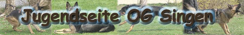 Bannerfertigweb