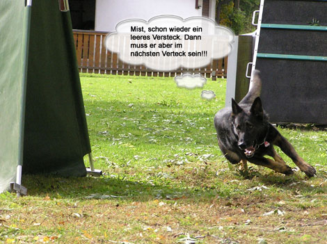 Lux-sucht-Helferweb