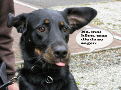 Nelly-h�rtweb