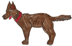 brauner-Hund-webl
