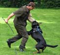 offenes-Training